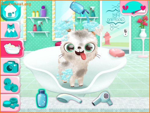 Miss Hollywood - Fashion Pets screenshot