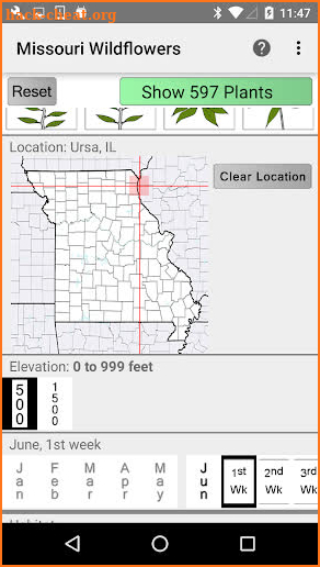 Missouri Wildflowers screenshot