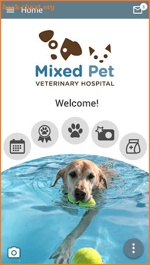 Mixed Pet Vet screenshot