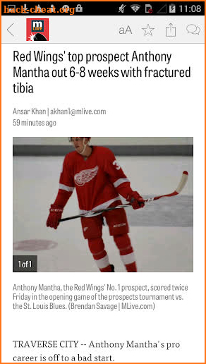 MLive.com: Red Wings News screenshot