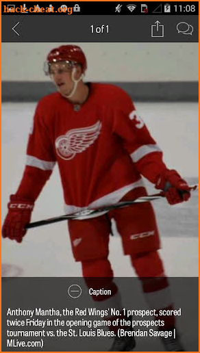 MLive.com: Red Wings News screenshot