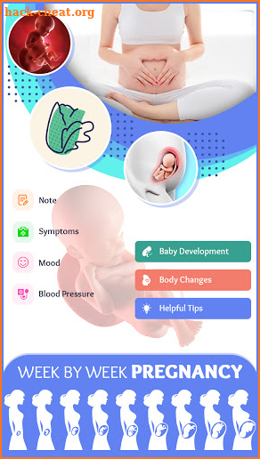 MomDiary: Week by week Pregnancy Tracker screenshot