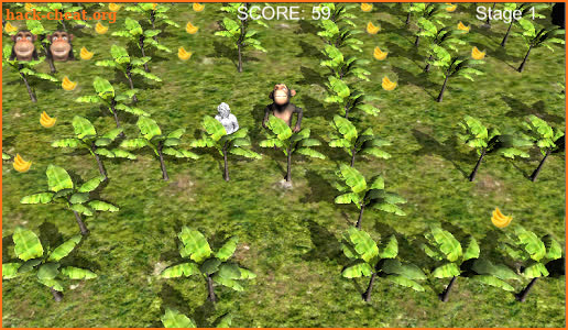 Monkey Bananas screenshot