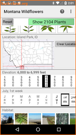 Montana Wildflowers screenshot