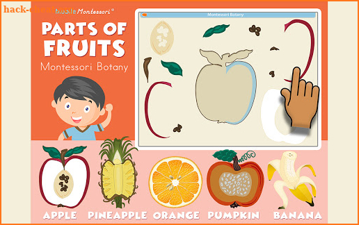 Montessori Botany - Parts of Fruits screenshot