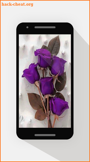 Mothers Day Flowers Images screenshot