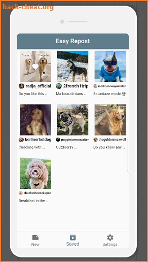 Multi Repost - Download and Repost for Instagram screenshot
