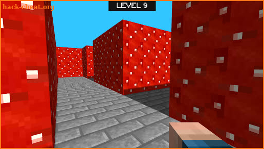 Multicraft Maze 3D screenshot