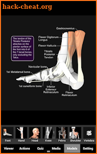 Muscle and Bone Anatomy 3D screenshot