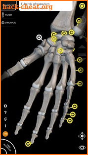 Muscle | Skeleton - 3D Anatomy screenshot