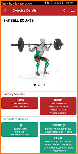 MuscleMatics screenshot