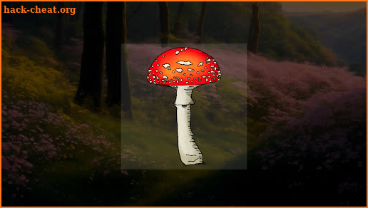 Mushroom Field Puzzle screenshot