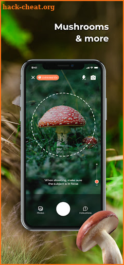 Mushroom ID - Mushroom identifier free screenshot