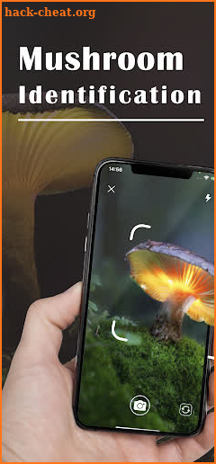 Mushroom Identifier - Picture Mushroom screenshot