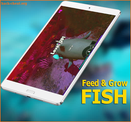 My Fish Feed Grow Series 2019 Guide screenshot