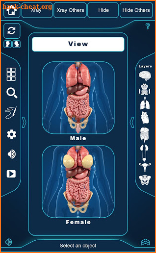 My Organs Anatomy screenshot