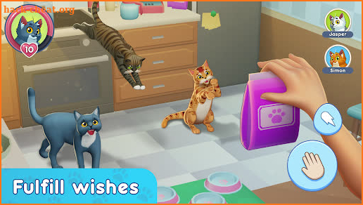 My Pets: Stray Cat Simulator screenshot