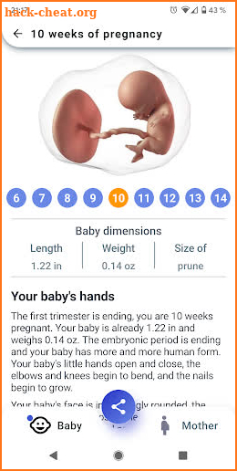 My Pregnancy - week by week pregnancy guide screenshot