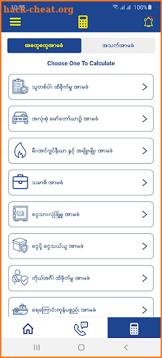 Myanma Insurance screenshot