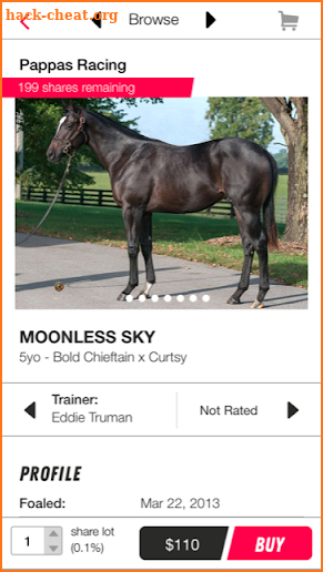 MyRacehorse screenshot