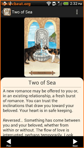 Mystical Cats Tarot screenshot