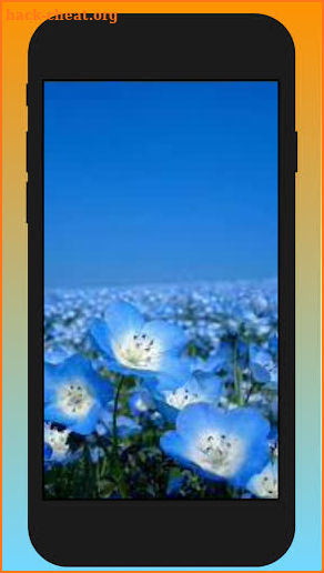 Mzoe3 - Smile flower is a flower that blooms screenshot