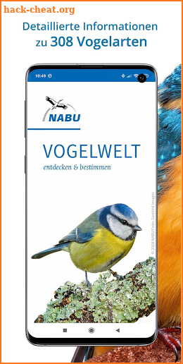 NABU Vogelwelt - Vögel Entdecken und Bestimmen screenshot