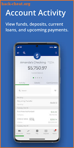 NAFCU Digital Banking screenshot