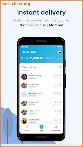 NALA Send Money to Africa screenshot