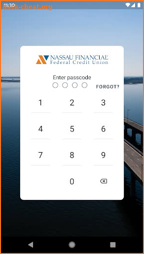 Nassau Financial screenshot