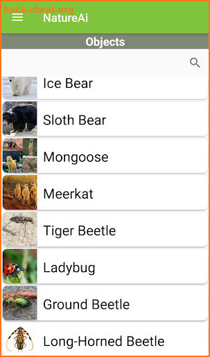 Nature Identification - Birds, Animals & Fish screenshot