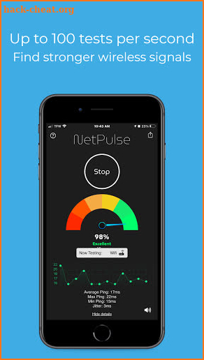 NetPulse screenshot