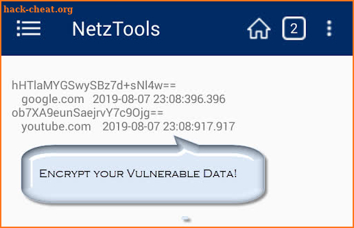 NetzTools screenshot