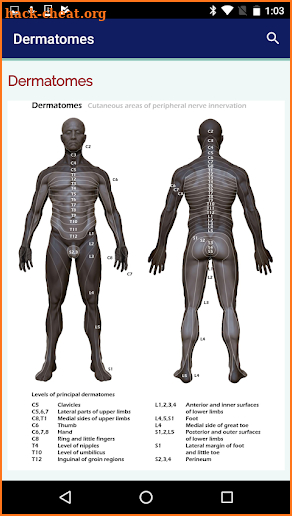 Neurosurgery Survival Guide screenshot