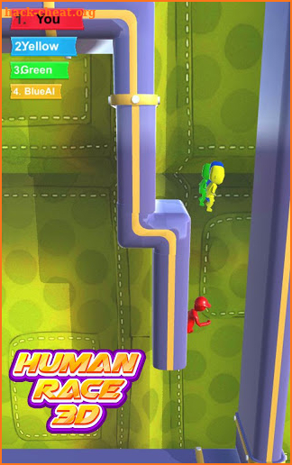 New Human Race 3D Run screenshot