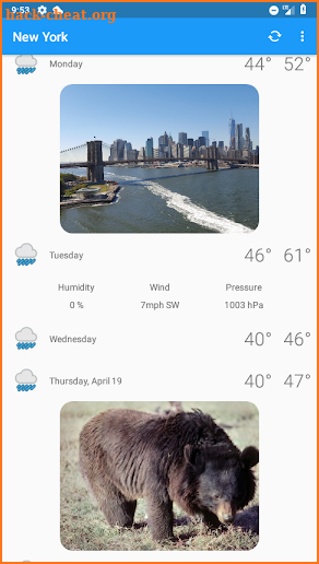 New York, NY - weather and more screenshot