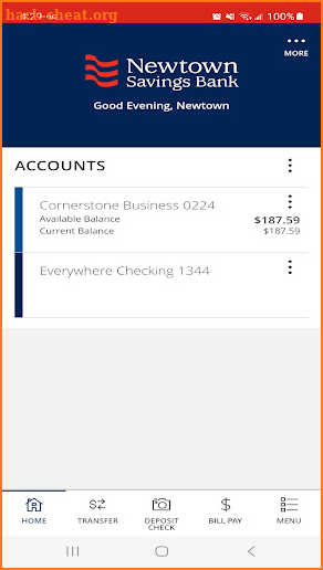 Newtown Savings Bank screenshot