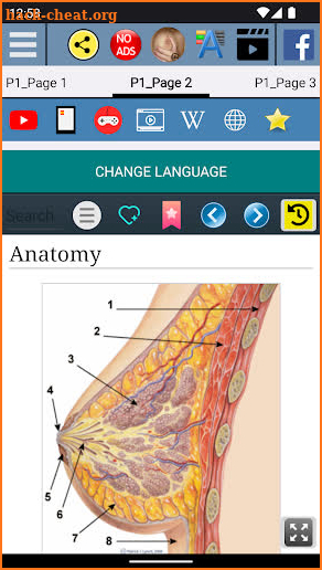 Nipple Anatomy screenshot