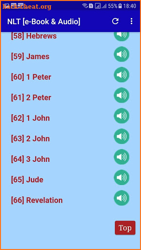 NLT Audio Bible Free. screenshot