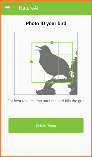 North American Bird Identifier - Bird Scanner screenshot