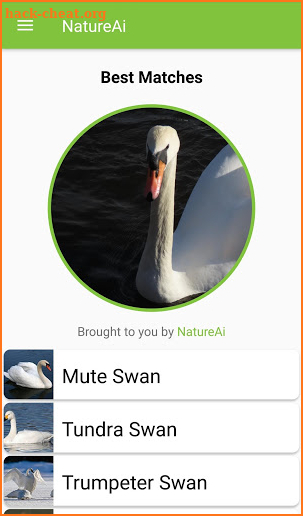 North American Bird Identifier - Bird Scanner screenshot