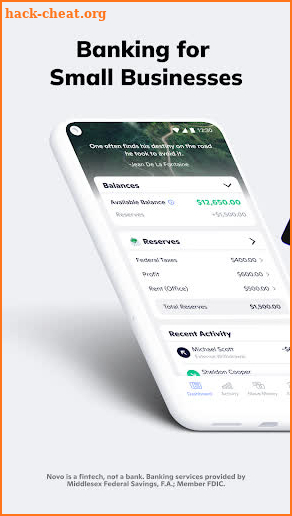 Novo - Small Business Checking screenshot