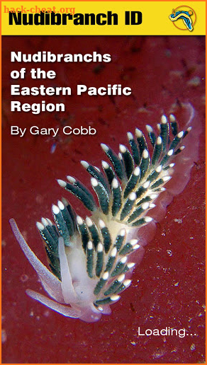 Nudibranch ID Eastern Pacific screenshot