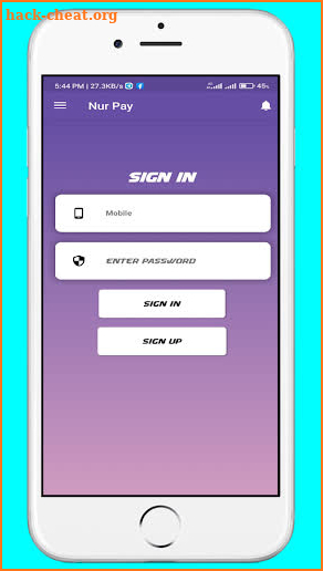 Nur Pay screenshot
