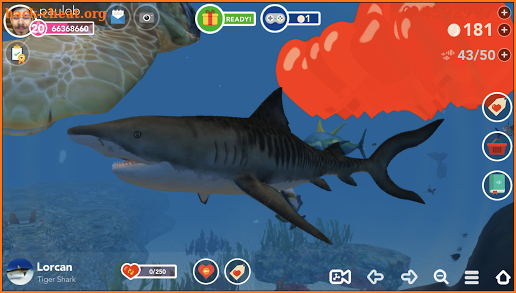 Ocean Reef Life screenshot