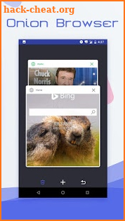 Onion Browser screenshot