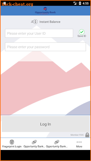 Opportunity Bank of Montana screenshot