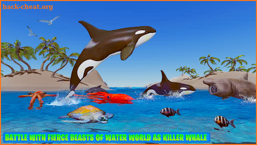 Orca Simulator: Killer Whale Simulator Game screenshot