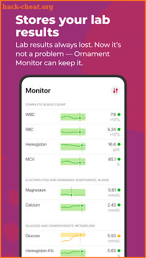 Ornament Monitor screenshot