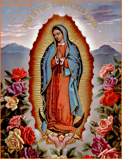 Our Lady of Guadalupe screenshot